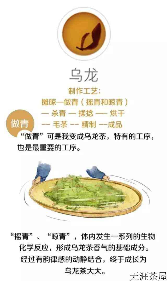 茶叶是怎么制作出来的