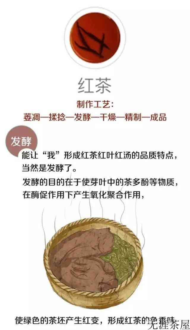 茶叶是怎么制作出来的