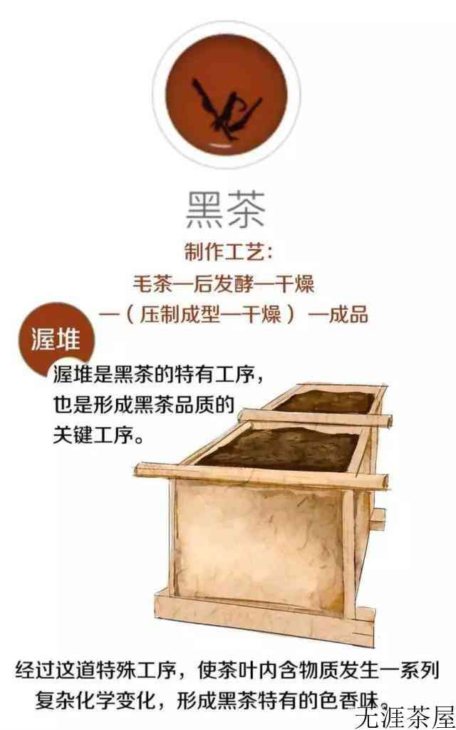 茶叶是怎么制作出来的