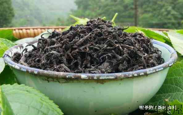 杜仲茶泡水喝的功效与作用