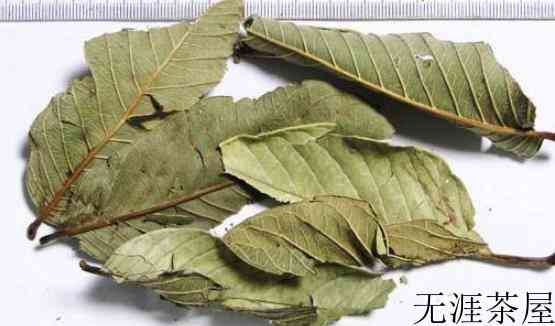 石榴叶的功效与作用
