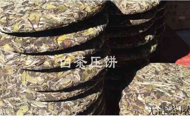 白茶压饼过程，制作工艺全图解