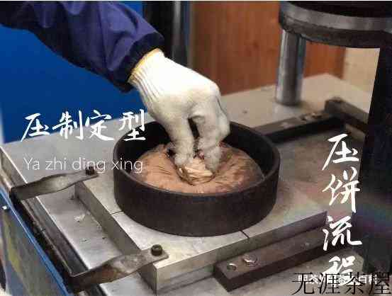 白茶压饼过程，制作工艺全图解