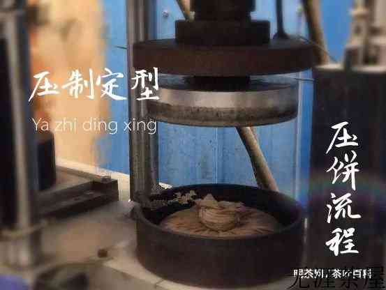 白茶压饼过程，制作工艺全图解