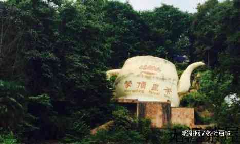 蒙顶山茶的历史发展、文化介绍