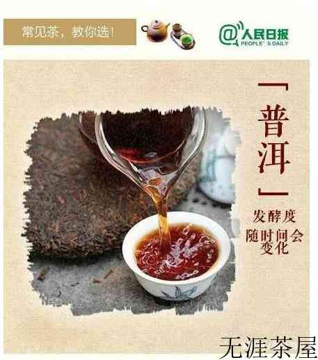 如何选择一款适合自己茶叶