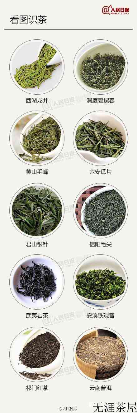 新手喝茶必备，茶知识大全