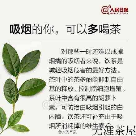 新手喝茶必备，茶知识大全