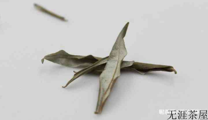 沙棘的功效与作用