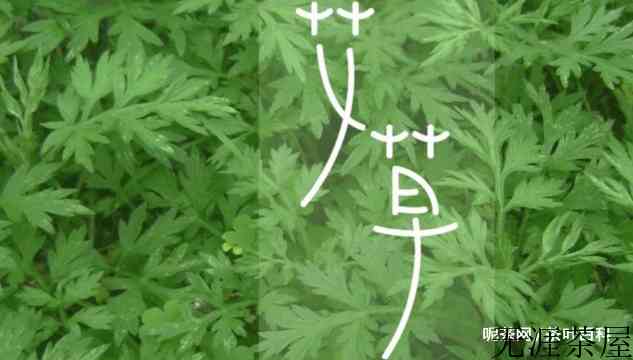 艾叶的功效与作用