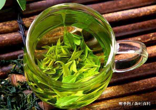 小叶苦丁能去火吗