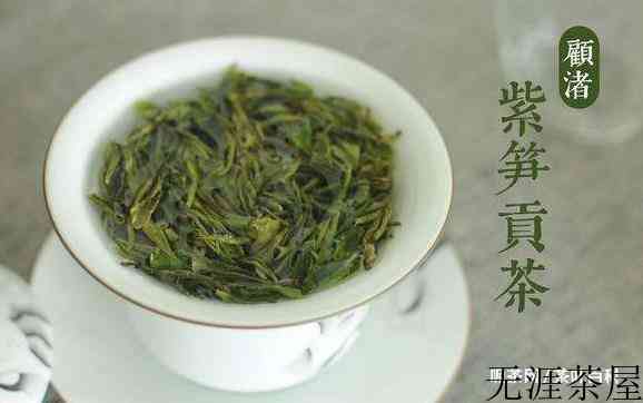 顾渚紫笋是绿茶吗