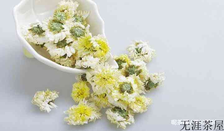 贡菊和胎菊的区别