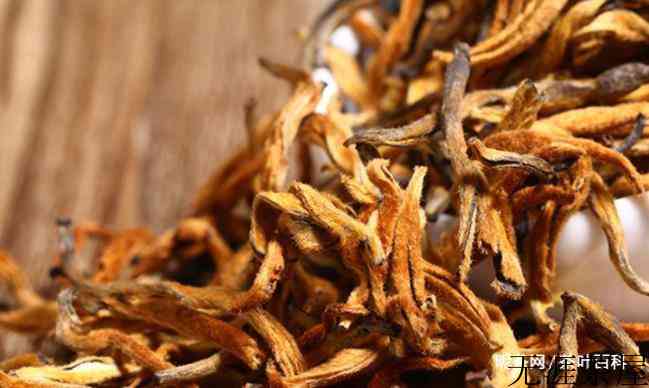 秋冬季抵抗病毒，多喝这两种茶