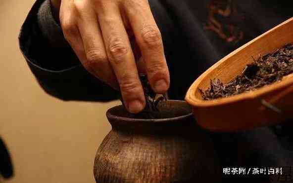 为什么要趁年轻存点茶，存茶的意义