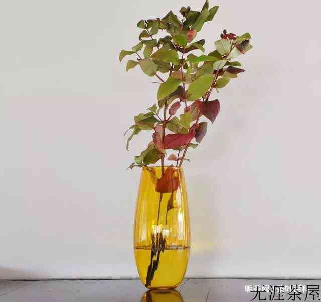 插花图片鉴赏，简单又漂亮的插画艺术
