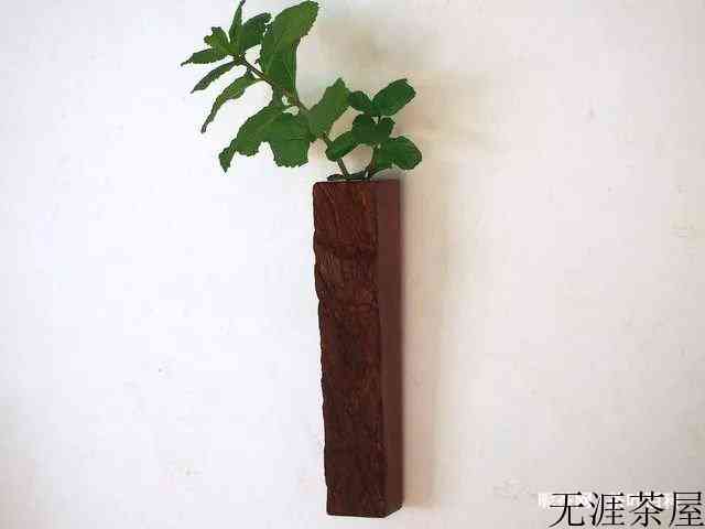 插花图片鉴赏，简单又漂亮的插画艺术