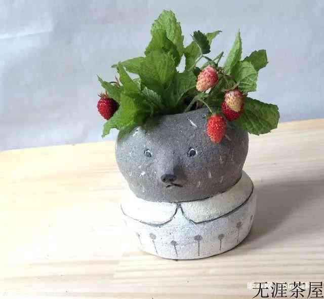 插花图片鉴赏，简单又漂亮的插画艺术