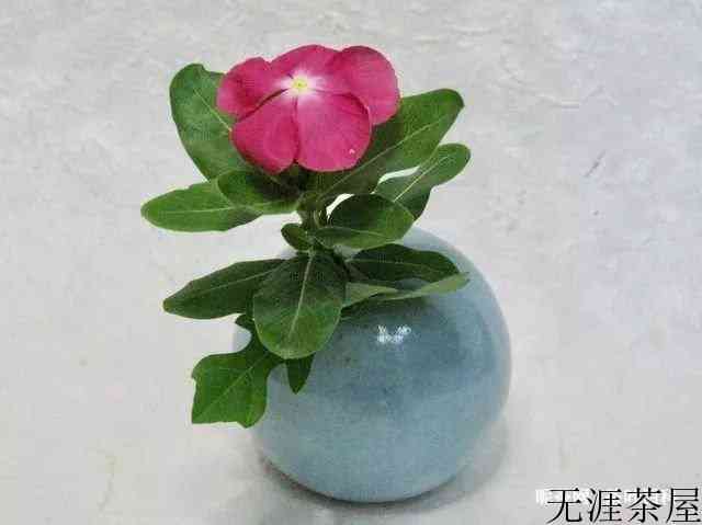 插花图片鉴赏，简单又漂亮的插画艺术