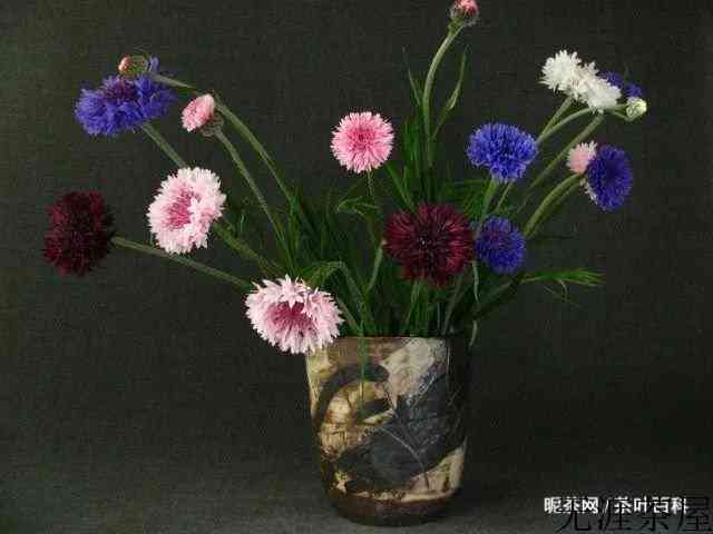 插花图片鉴赏，简单又漂亮的插画艺术