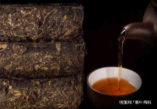 安化黑茶的两大独特工艺，发花和三次发酵