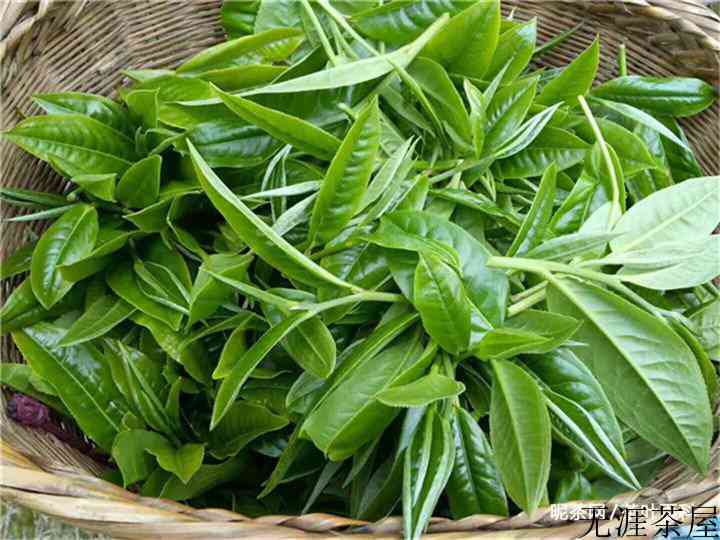 为什么喝不同的茶要用不同类型的茶具？