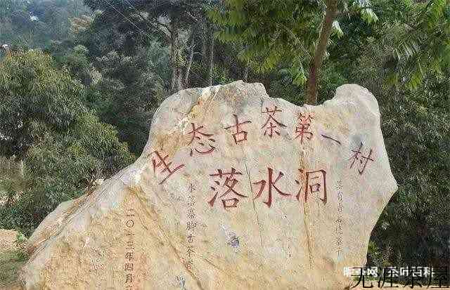 易武茶区的普洱茶怎么样，有哪些特点
