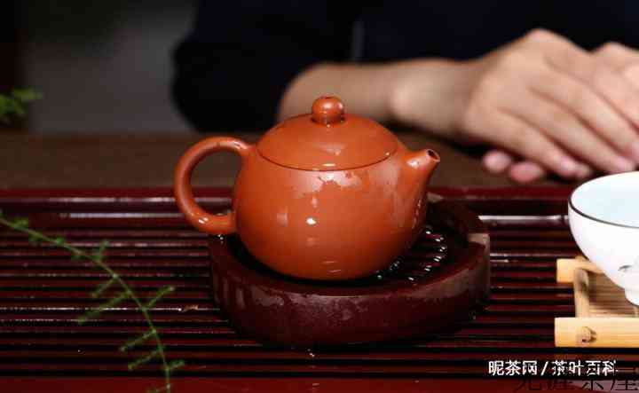 吸水性可以判断紫砂壶的好坏吗