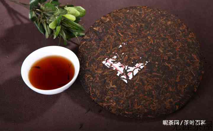 中年人适合喝哪几类茶？