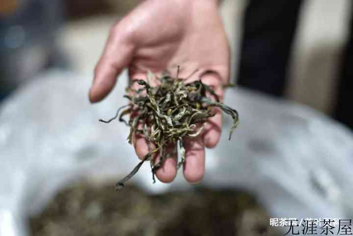 普洱散茶适合长期存放吗