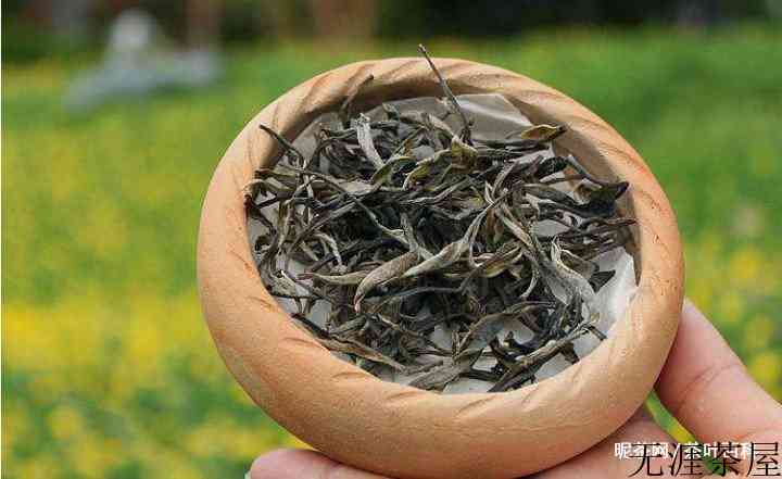 普洱散茶适合长期存放吗