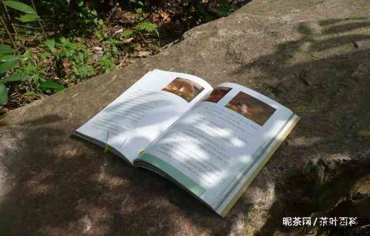 解开烦恼的秘诀，忘记与放下