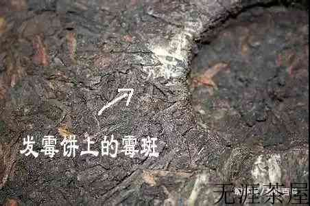 存了几年的老茶受潮了，怎么办？