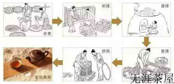 传统安化黑茶的发酵过程