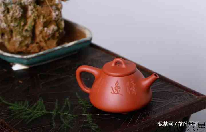 挑选紫砂壶，学会这7招，避免入坑