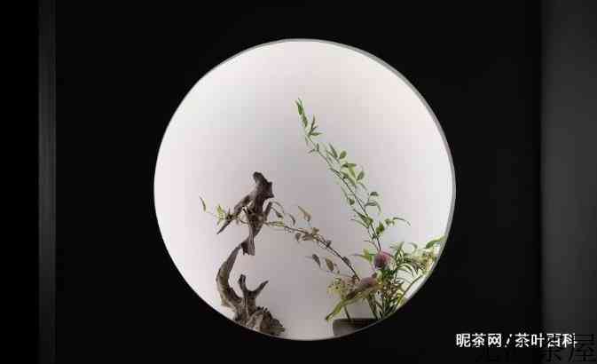 哪些元素最适合营造茶室的人文气息