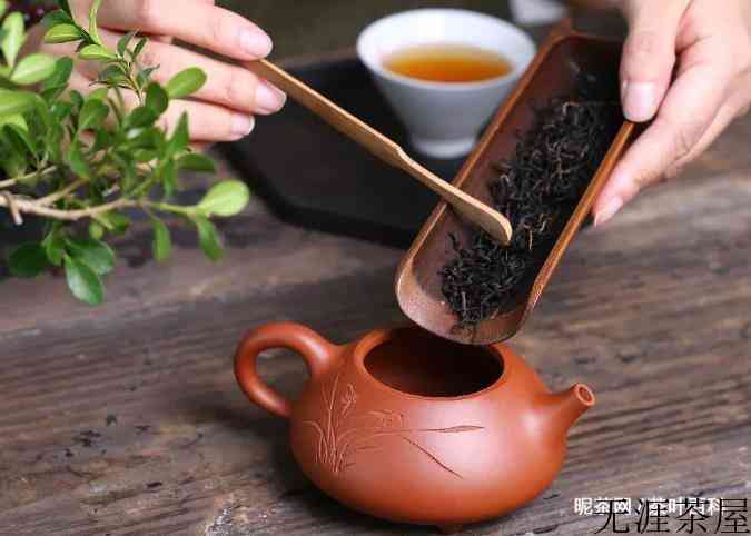 好壶靠养，但方法更重要！
