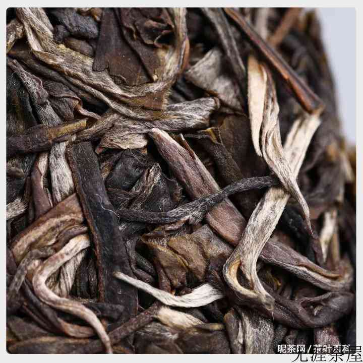 老同志孔雀王普洱茶