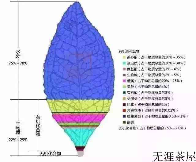 一片茶叶中到底有哪些物质
