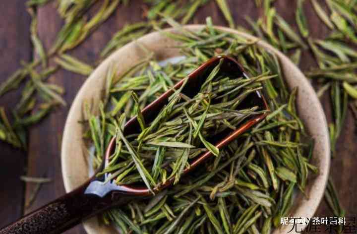 一文读懂，福鼎白茶、政和白茶、安吉白茶、月光白茶的区别！