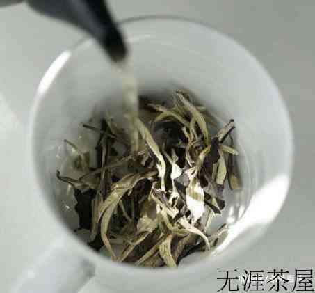 一文读懂，福鼎白茶、政和白茶、安吉白茶、月光白茶的区别！