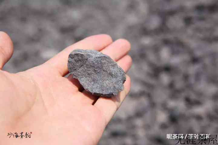 都说黄龙山的紫砂泥料好，到底好在哪？