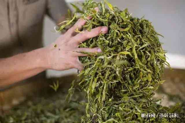 普洱生茶和绿茶有哪些区别？
