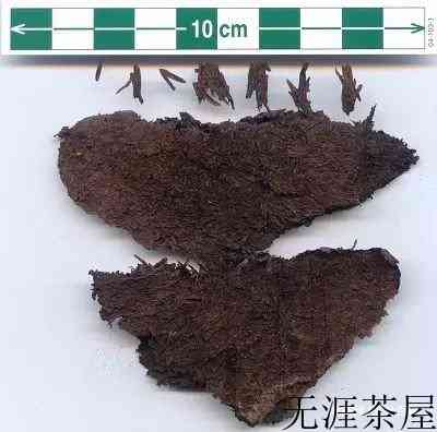 这些茶界的吉尼斯世界纪录，你知道几个