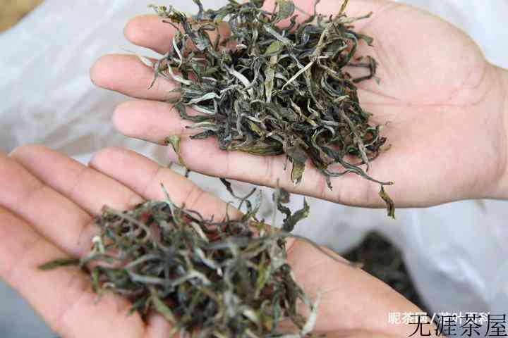 普洱茶的纯料和拼配该怎么选择？