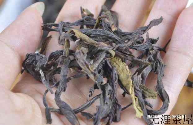 雪片，带有山韵的冬茶