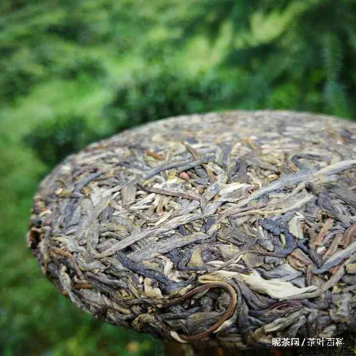 普洱茶在自然陈化过程中的变化