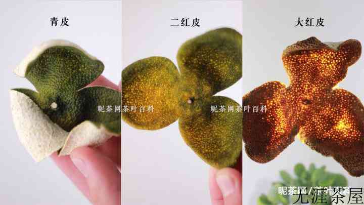 如何选择新会陈皮，这些技巧值得拥有