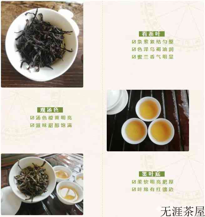 凤凰单丛中的“大众情人”，蜜兰香