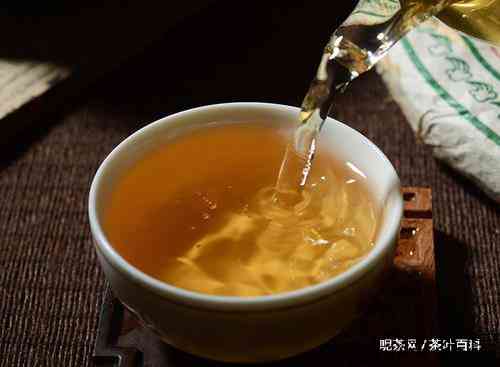 老班章茶的特点及辨别方法